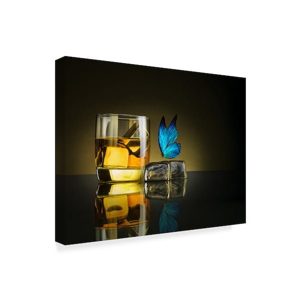 Jackson Carvalho 'Butterfly Drink' Canvas Art,24x32